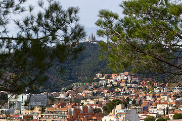 Image showing View of Mount Tibidabo through the branches of pine trees.