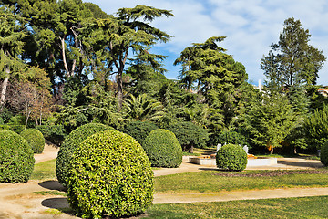 Image showing Green Garden.