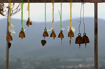 Image showing Golden bells 