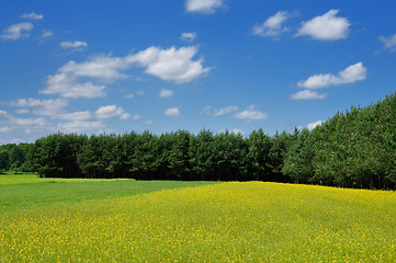 Image showing Spring landscape