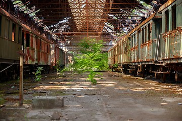 Image showing Cargo trains in old train depot