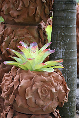 Image showing Plant with green leaves in a pot 