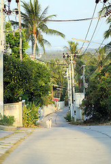 Image showing The road in the jungle