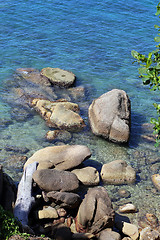 Image showing Tropical landscape