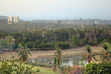 Image showing Rainforest