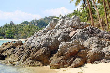 Image showing Tropical landscape