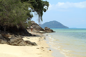 Image showing Tropical landscape