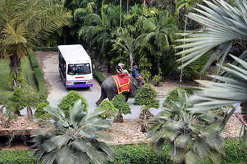 Image showing Thai elephant 