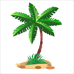 Image showing Green palm tree on a neutral background