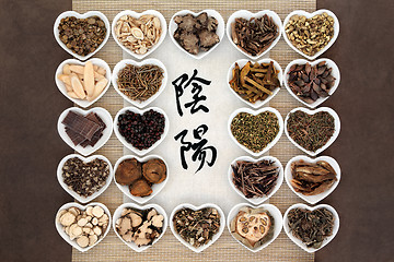 Image showing Yin and Yang Herbs