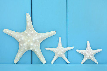 Image showing Starfish 