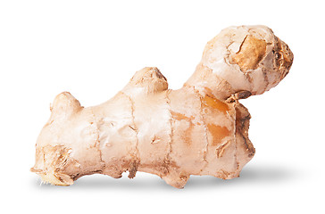 Image showing Half ginger root