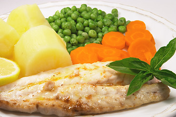Image showing Grilled fish dinner 2