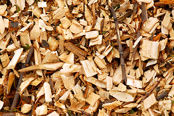 Image showing Wood chips