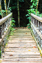 Image showing Bridge over the waterfall in Forest