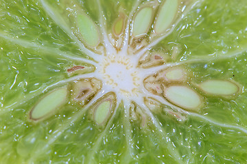 Image showing Bergamot isolated white background