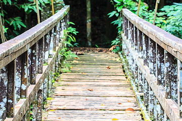 Image showing Bridge over the waterfall in Forest