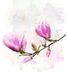 Image showing Magnolia Flowers