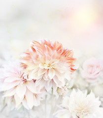 Image showing Soft Focus Floral Background