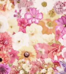 Image showing Colorful Floral Background