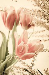 Image showing Spring bouquet with a mimosa and tulips