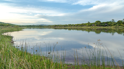 Image showing Mokolodi Nature Reserve