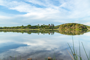 Image showing Mokolodi Nature Reserve