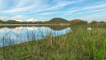 Image showing Mokolodi Nature Reserve