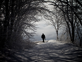 Image showing Winter Road