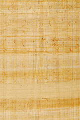 Image showing Papyrus