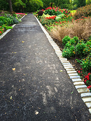 Image showing Path in a colorful summer garden