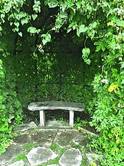 Image showing Stone bench in green summer garden