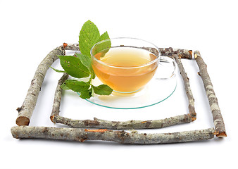 Image showing Lemon balm tea