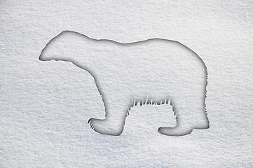 Image showing Polar bear in snow