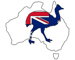 Image showing Kassowary Australia