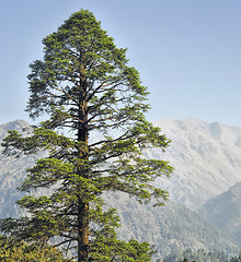 Image showing Dolpo