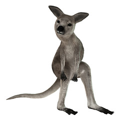 Image showing Joey