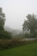 Image showing Fog