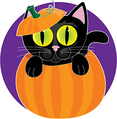 Image showing Black Cat in Pumpkin