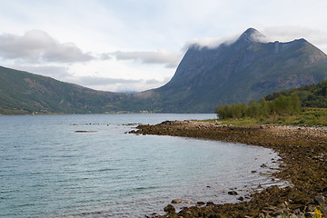 Image showing end of fjord