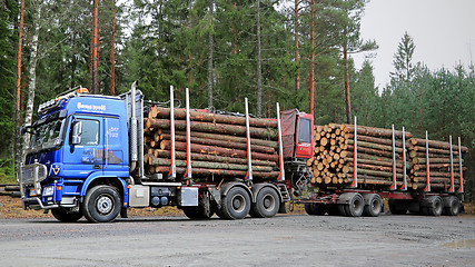 Image showing Blue Sisu Polar Timber Truck with Trailers Full of Spruce Logs