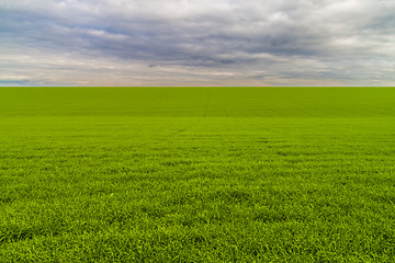 Image showing Boundless meadows