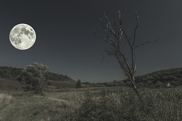 Image showing full moon