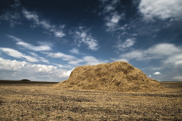 Image showing Hay