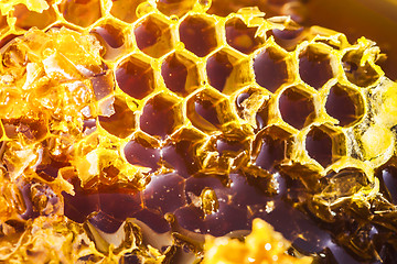 Image showing Natural honey