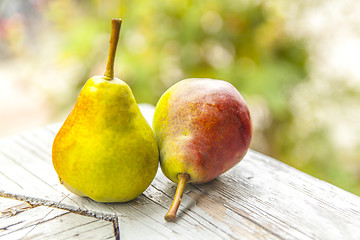 Image showing Two pears