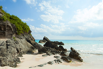 Image showing Horseshoe Bay Beach in Bermuda
