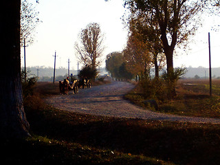 Image showing Wagon on rural road