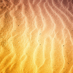 Image showing Beach with soft sand