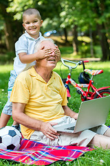 Image showing grandfather and child using laptop